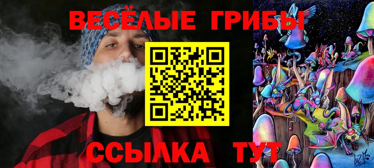 Псилоцибиновые грибы GOLDEN TEACHER  Галлюциногенные грибы прущие грибы  Вход с VPN  Зеленогорск 
